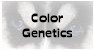 Color Genetics