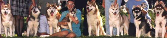 Five Generation image, taken on the grounds of the 1995 National Specialty in Ontario, California.  This picture was taken so it could be used as the front page of the Siberian Quarterly summer 1996.